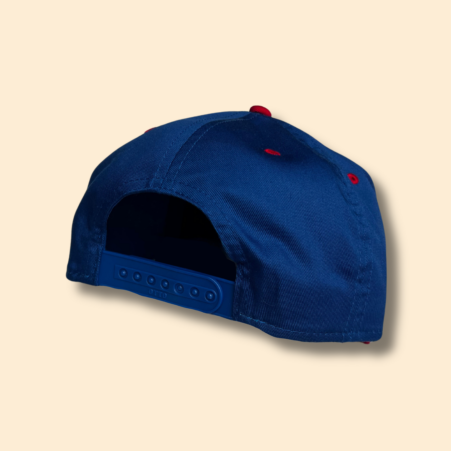 World's Greatest Dog Show Hat