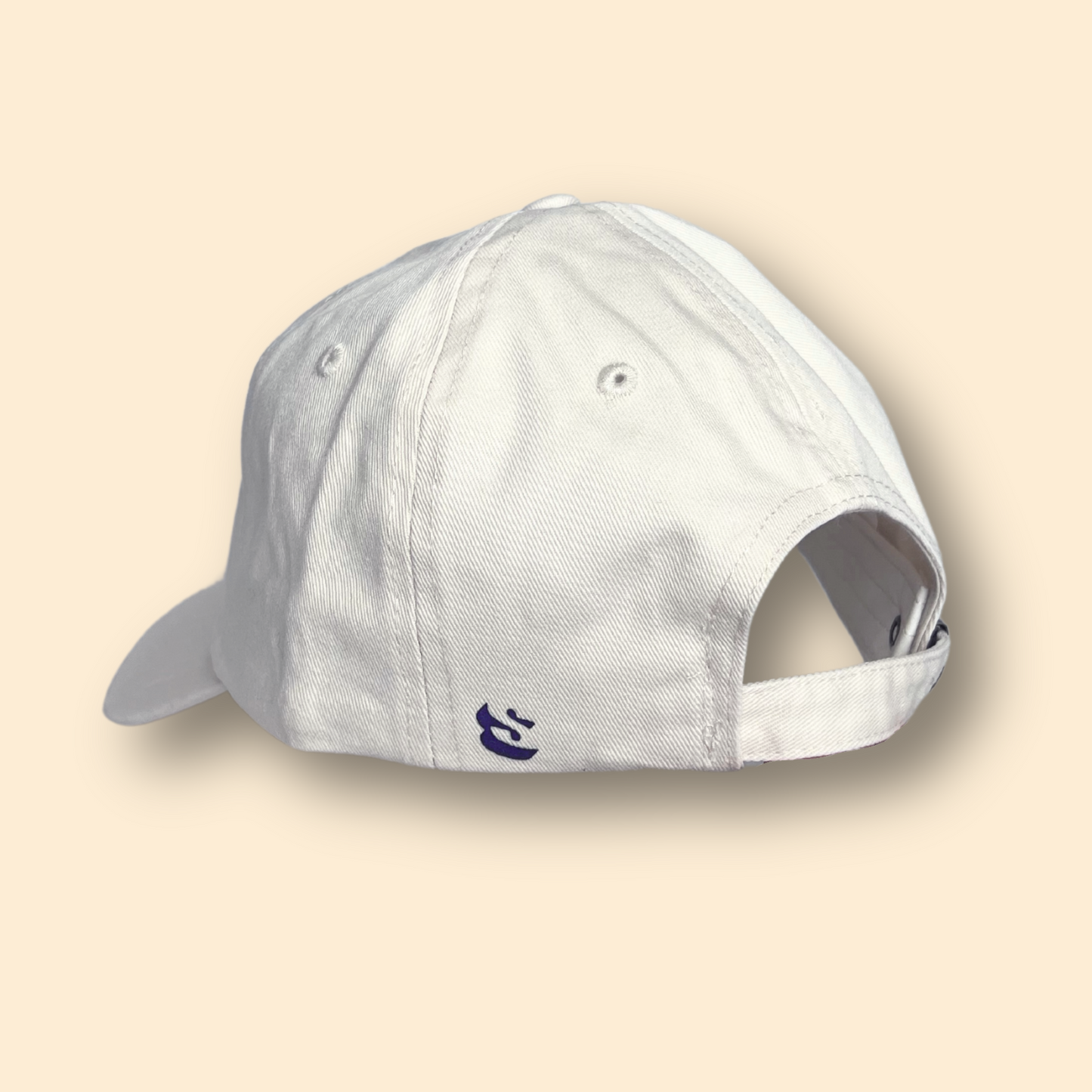 Every Sunday Dad Hat